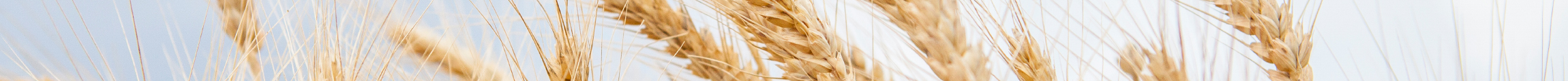 banner-grass Sky banner